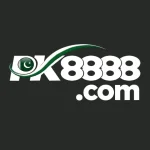 Logo with text and flag design